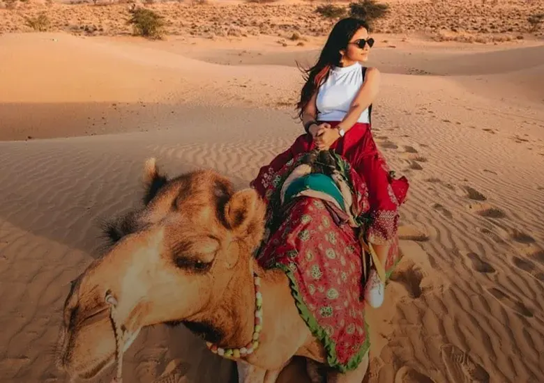 Camel Safari
